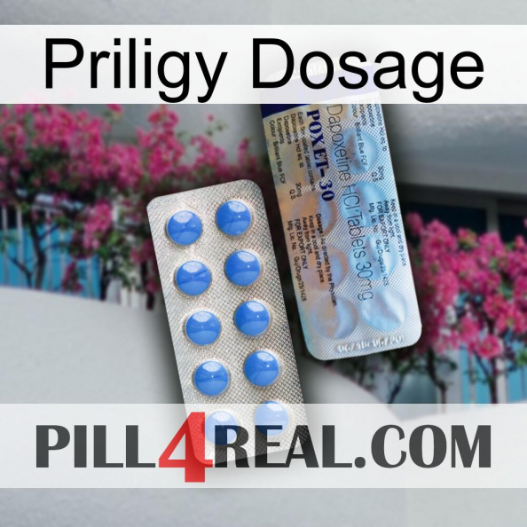 Priligy Dosage 39.jpg